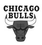 Chicago Bulls