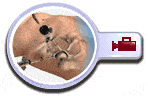 Hip Arthroscopy, Chicago, Illinois